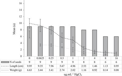 Effect of Plant Growth-Promoting Bacteria on Biometrical Parameters and Antioxidant Enzymatic Activities of Lupinus albus var. Orden Dorado Under Mercury Stress